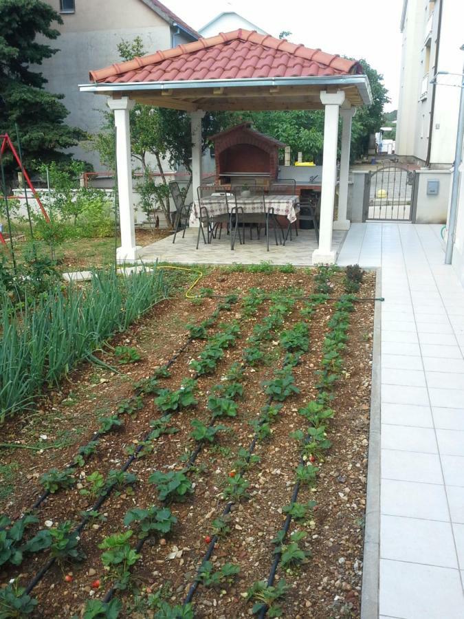 Sanja M 2 Appartamento